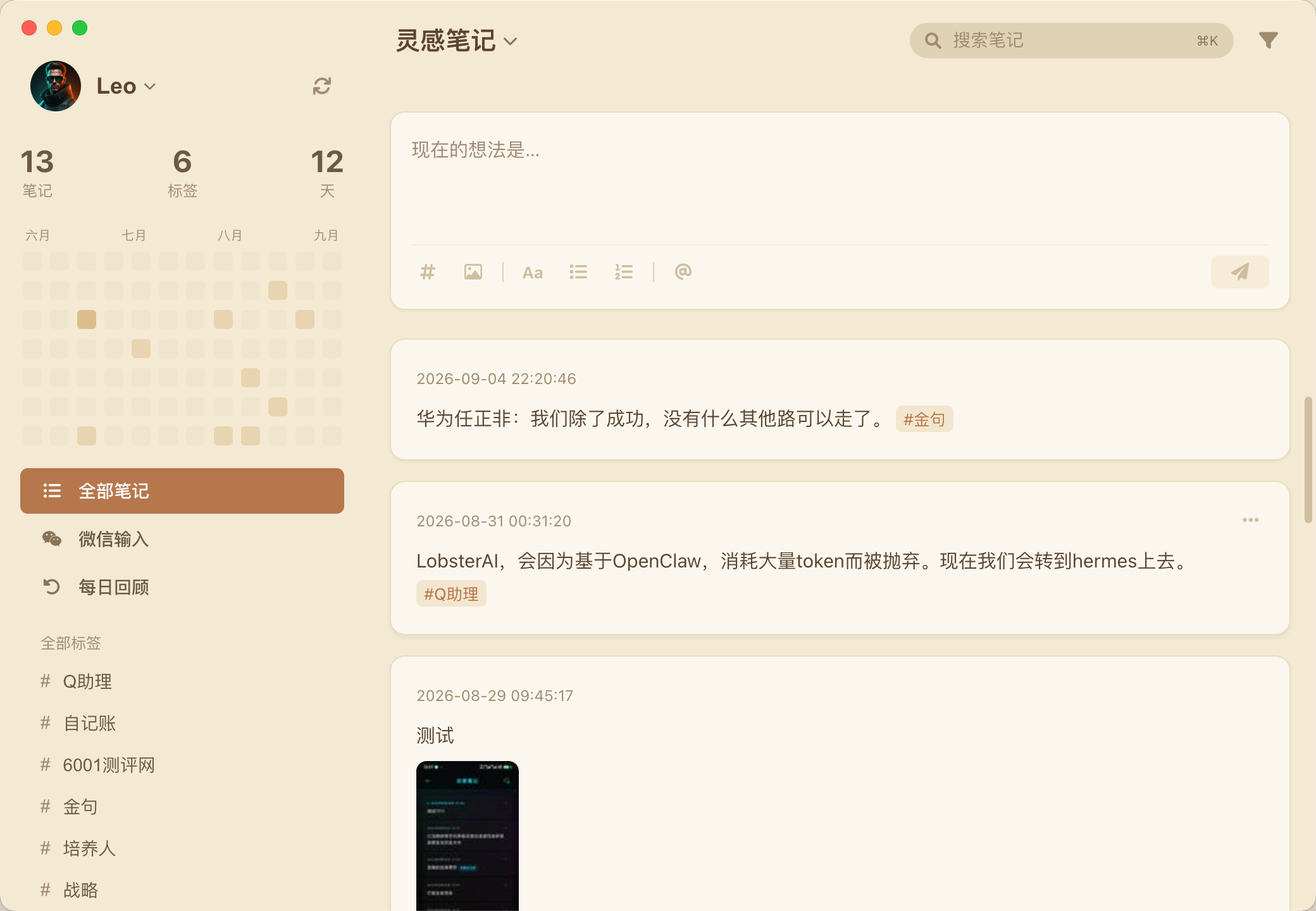 灵感笔记桌面端界面截图：卡片式笔记、标签、热力图与搜索